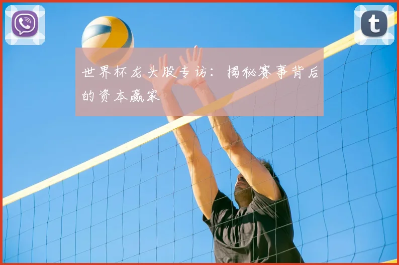 世界杯龙头股专访:揭秘赛事背后的资本赢家