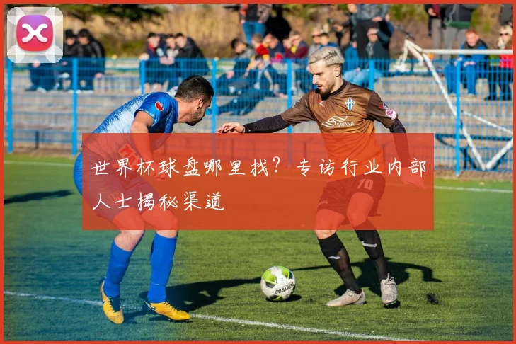 世界杯球盘哪里找?专访行业内部人士揭秘渠道