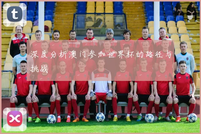 深度分析澳门参加世界杯的路径与挑战