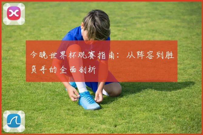 今晚世界杯观赛指南：从阵容到胜负手的全面剖析